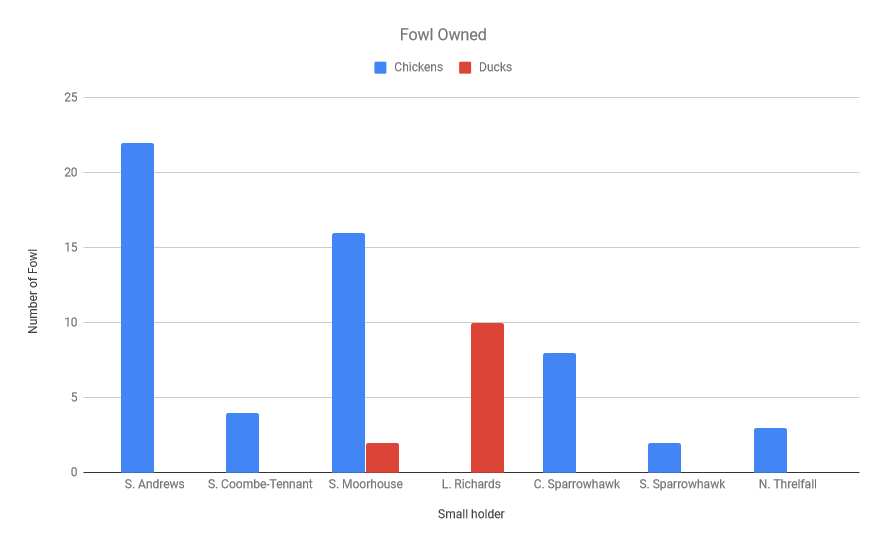 Graph showing number of fowl owned per small holder