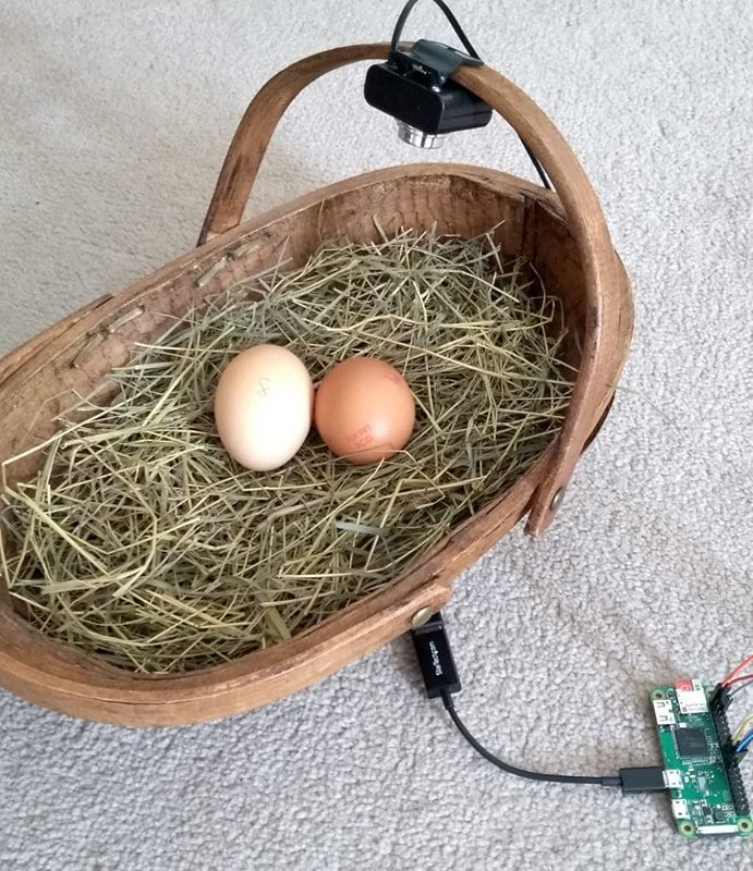 Egg identifier nestbox